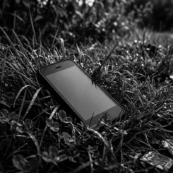 Missing Phone 1